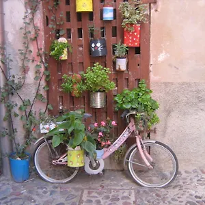 Da Antonella , Bosa Italia